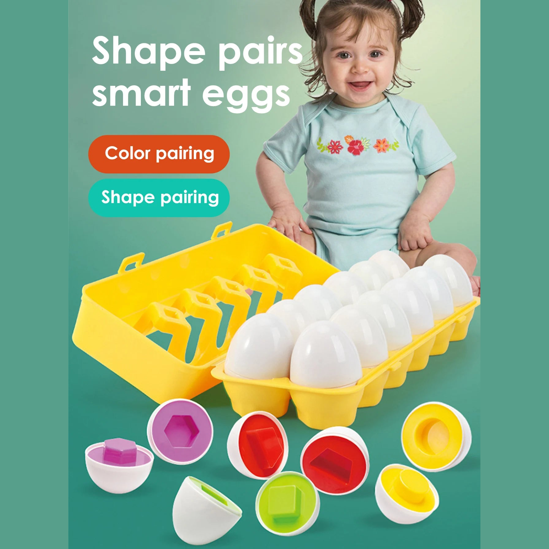 Geometric matching eggs in a carton with shape halves